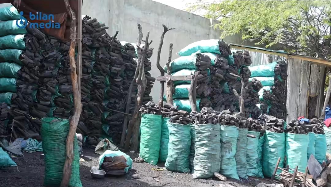 Why do pregnant women crave charcoal?