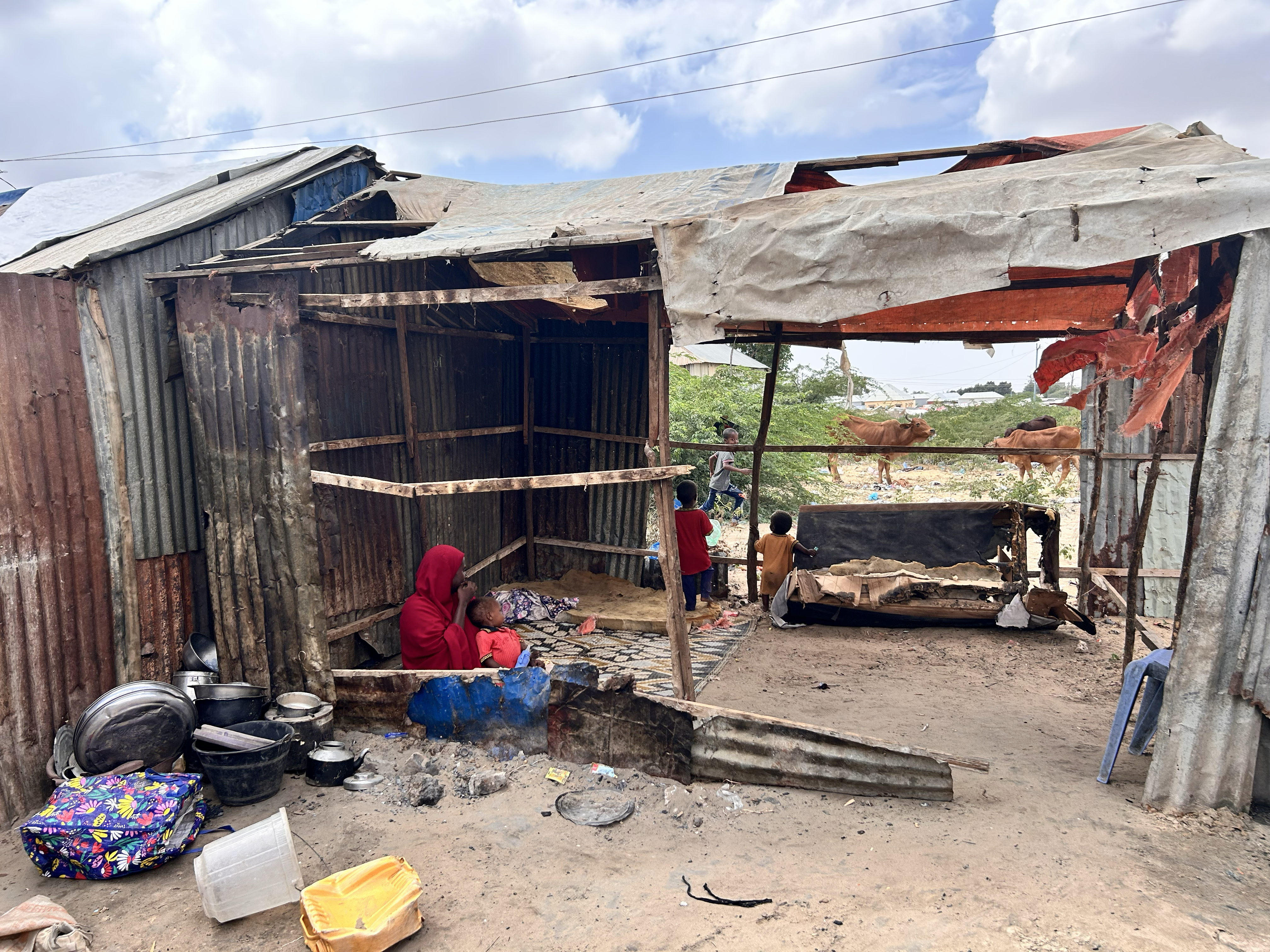 DABBABKA KACA XILLIYADA DABAYLAHA OO SAAMEYN TABBAN KU YEESHA QOYSASKA BARAKACAYAASHA AH.