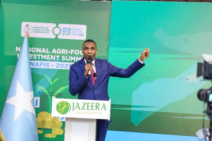 Somalia's Prime Minister Calls for Increased Investment in Agriculture to Boost Domestic Production and Achieve Food Security