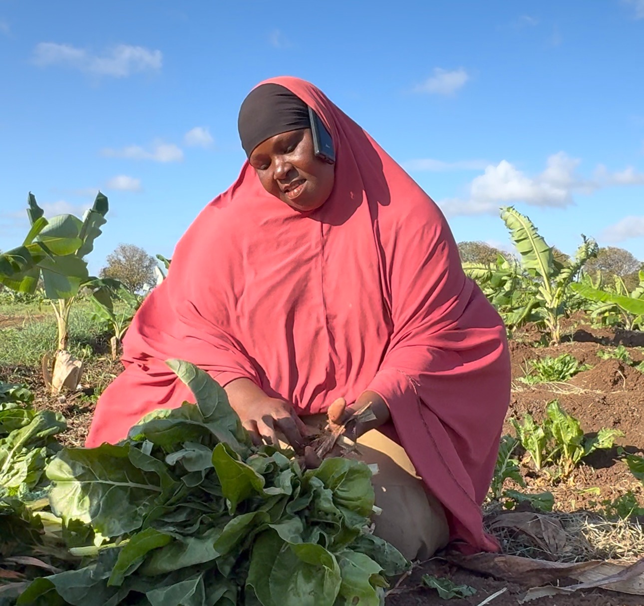 What do you know about the unseen hands of Somali women, the backbone of agricultural production?”
