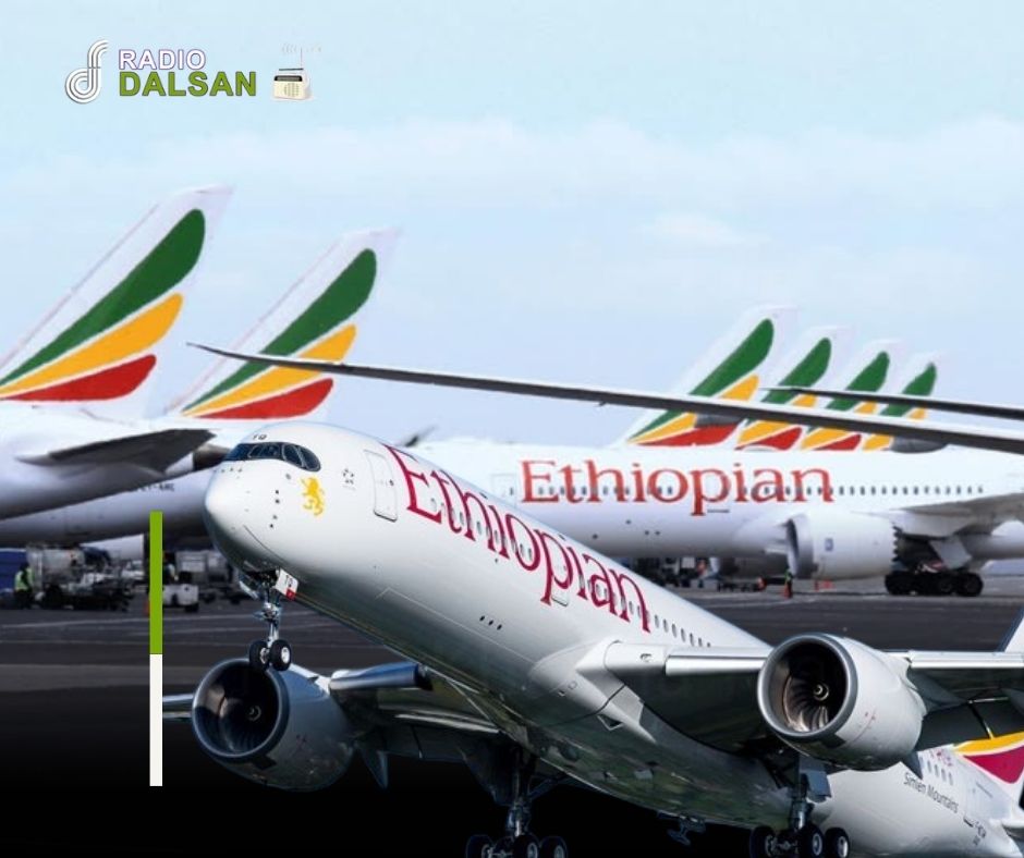 The Ethiopian governments consider Somaliland and Puntland as parts of Ethiopia and have jointly suspended the use of eVisas for Somalia.