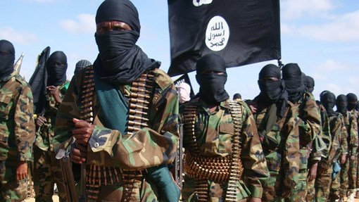 Somali Forces⁠ Kill Key Al-Shabaab Command‍ers i‌n Coo⁠rdinated R⁠aids i⁠n Bakoo​l⁠ and B‌ay Regions