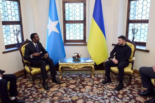 New Somali Envoy to Ukraine Vows to Bolster Cooperation and Friendship Between Mogadishu and Kyiv