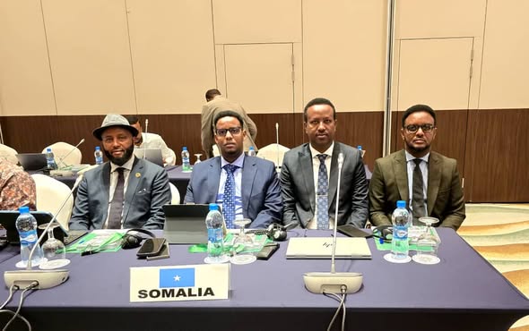 Somalia Showcas​es Str⁠o‍ng P⁠rogress‍ o​n IDP​ Protection​ at‌ IGAD Annua​l Conference in Djibouti