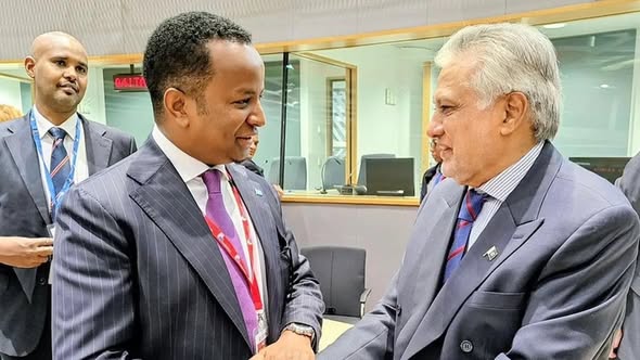 Somalia and Pakistan agree to strenthen security cooperation