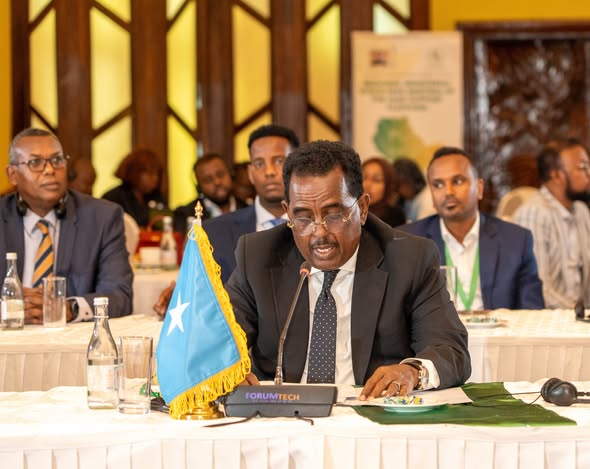Somalia’s Interior minister highlights refugee and IDP progress at IGAD