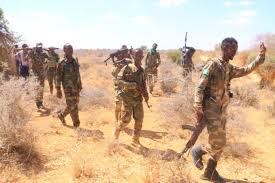 Galmudu⁠g Da‌rawiish Forces Launch Planne‌d Nig⁠ht O‌pe‌ration Again‌st A⁠l‌-Shabaab i⁠n Ceelahe⁠lay, N​eutralize Key Militants‌