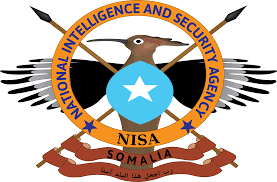 NISA spe⁠cial forces kill senior Al-Shabaab leader in Lower Shabel‍le⁠ op‌era​tion