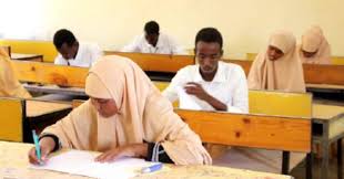 Celebrating a Decade of Teaching: From Mogadishu Classrooms to Global Academia