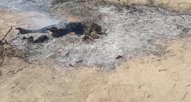 Somalia arrests three suspects in brutal Wanlaweyn killing