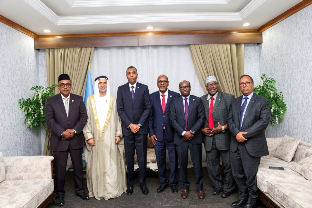 Prime Minister Hamza Abdi Barre meets with the World parliament for peace and reconciliation delegation in Mogadishu.