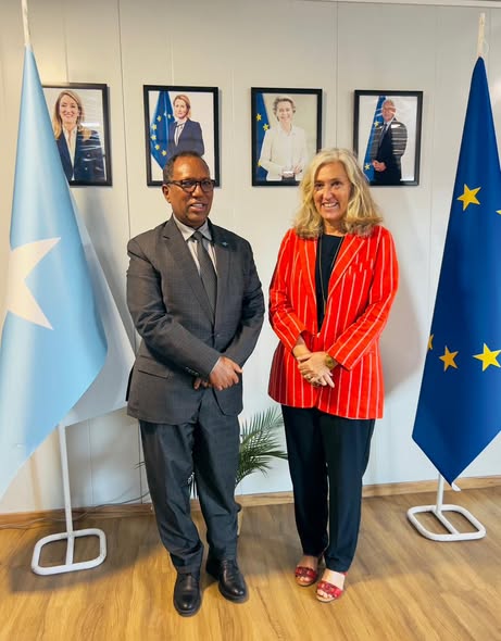 Somalia’s Public Works Minister Meets EU ambassador to strengthen cooperation on reconstruction and housing