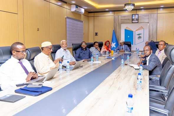 Constitutional Review Committee holds preliminary consultation with Somalia’s Auditor General on the Finance Chapter.
