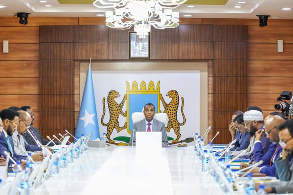 Somali cabinet discusses local elections and approves key national laws