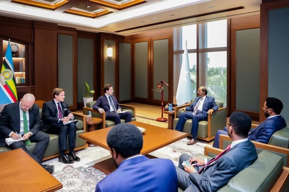 Somalia and Sweden discuss economic collaboration and institutional capacity building during high-level meeting in Mogadishu.