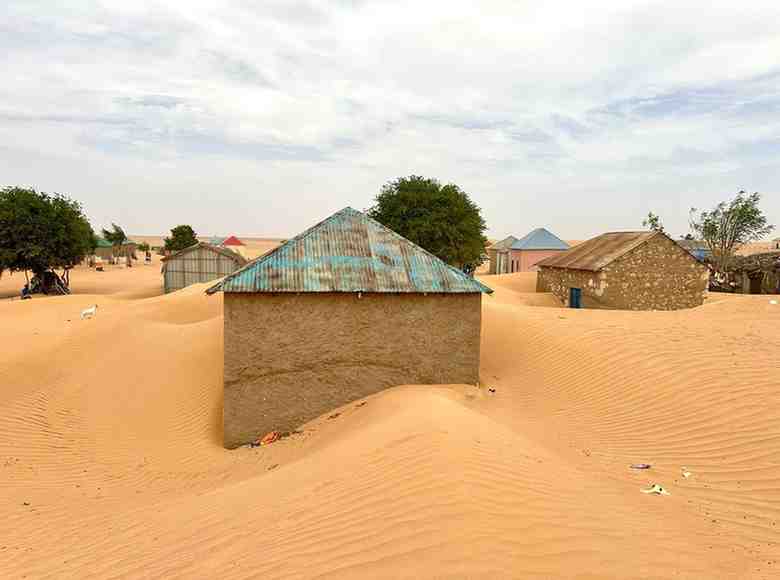 Somalia Environment Minister Warns Galmudug on Rapid Desertification