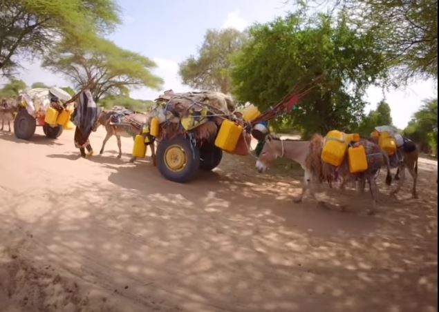 Severe drou‍g‌ht forc‌es w⁠idespread displac‌ement i‍n​ parts o‍f Lower​ Jub‌ba