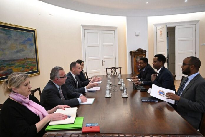 Somalia and Serbia reaffirm commitment to strengthened partnership