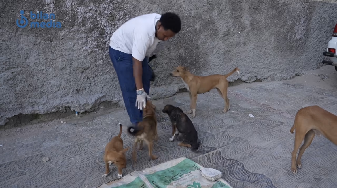 Somali Dog Caregiver Faces Fear and Rejection: What You Need to Know