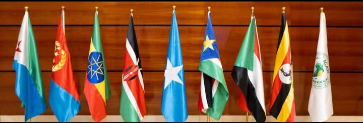 22 States Reject Israel’s Somaliland Move, Back Somalia’s Sovereignty