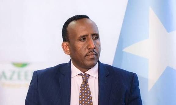 Germany Grants Full Recognition to Somali Diplomatic Passports in Landmark Shift