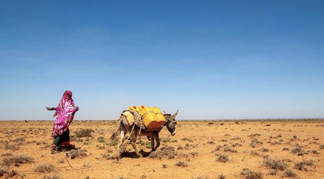 Puntland drought pushes food prices up, threatens livelihoods