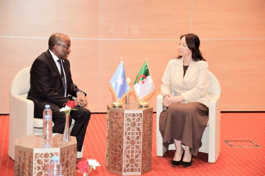 Soomaaliya iyo Aljeeriya oo Ka Wada Hadlay Xoojinta Iskaashiga Siyaasadda, Dhaqaalaha iyo Amniga