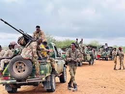 Somali forces continue large-scale search for violent militants in Lower Shabelle