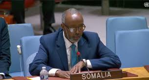 Somalia warns Israel against violating its sovereignty during an emergency UN Security Council session.