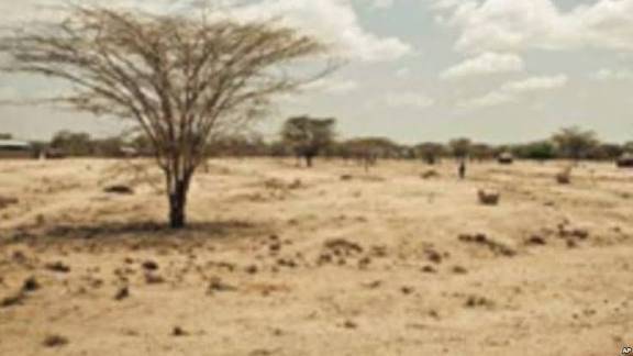 Somalia Drought: 4.6 Million Affected, UN Warns of Funding Gap
