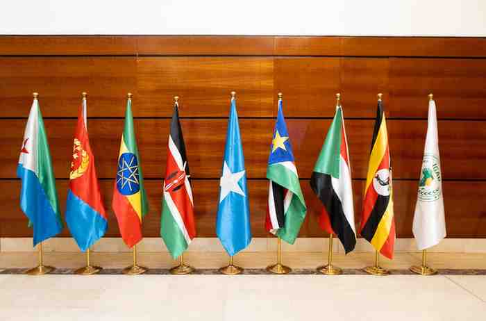 Somalia Ratifies IGAD Treaty: What You Need to Know Now