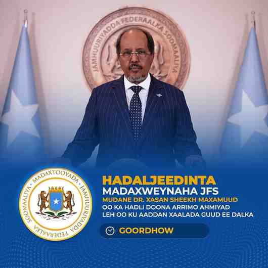 Somalia President Condemns Israel Over Somaliland Move: What You Need to Know