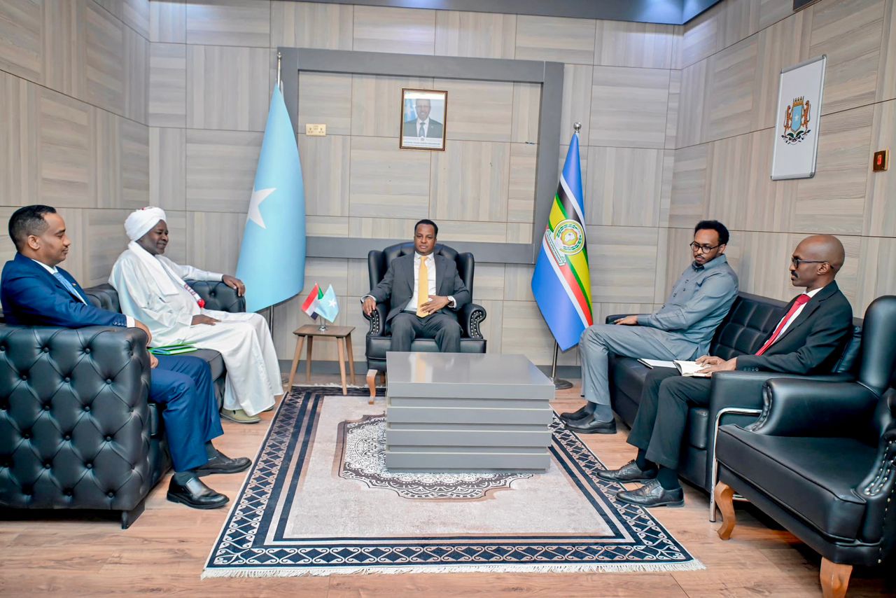 Somalia and Sudan discuss regional security and strengthening bilateral ties