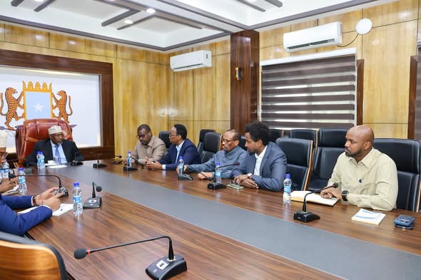 Somali parliamentary leaders meet constitutional review committees on progress of provisional constitution