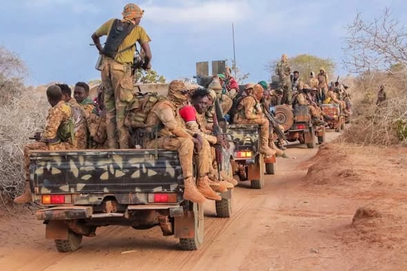 Somali National Army Danab commandos and Jubbaland forces repel Al-Shabaab Attack, Kill Militants and seize weapons in lower Juba operation