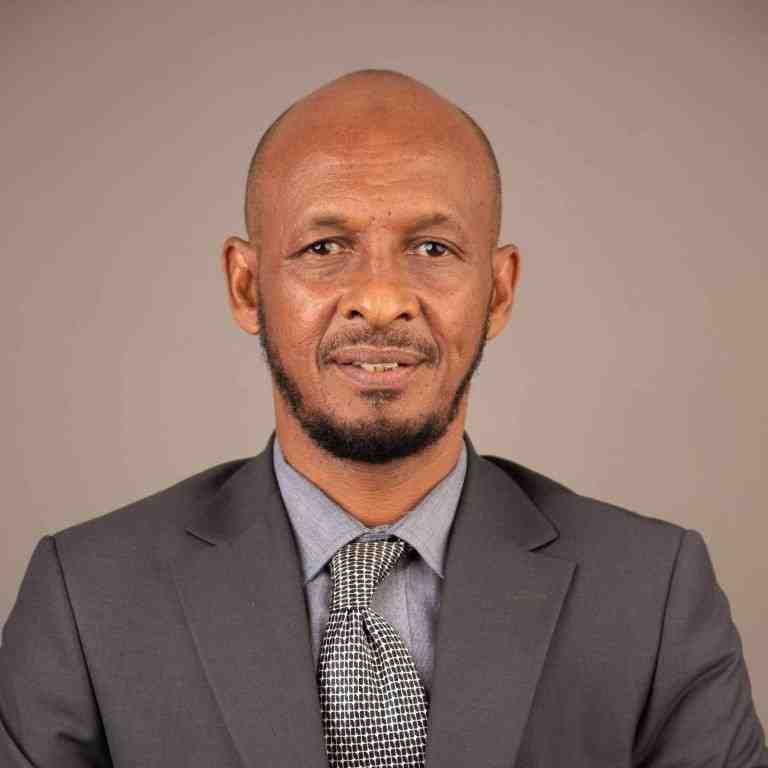 Kenyans in Somalia remit over Ksh70m daily, MP Haro says