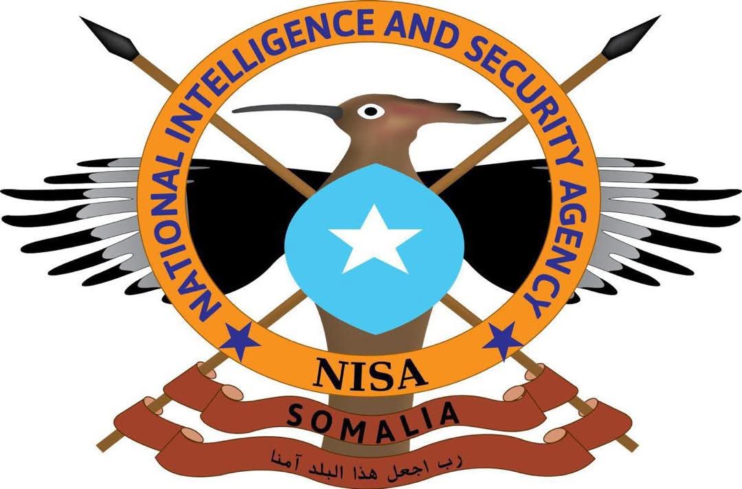 NISA Targets Al-Shabaab Command Meeting in Middle Jubba Strike