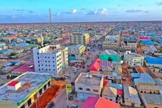Why Ambassadors Are Attending Northeast Somalia President’s Inauguration