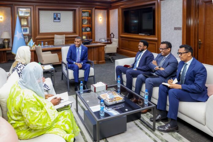 somali prime minister meets IFC regional director to boost economic cooperation