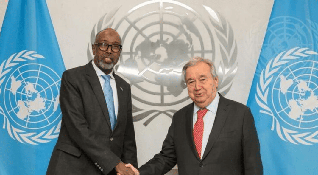 Somalia Assumes Presidency of the UN Security Council After 55 Years