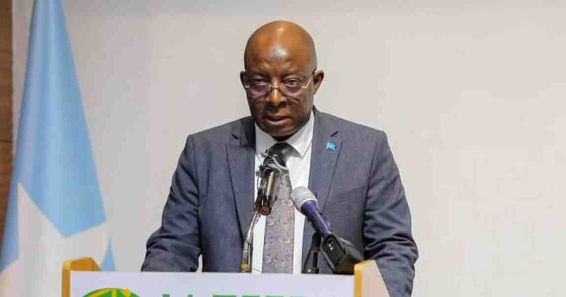 Somalia Ends UAE Security Pacts: What You Need to Know Now