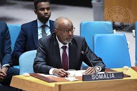 Somalia assumes presidency of the un security council