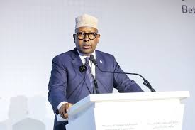 Top Al-Shabaab Bomb Maker Among Senior Militants Killed, Says Defence Minister