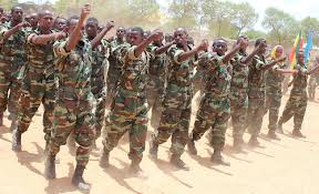 somali national army eliminates militant leader in planned operation in lower shabelle
