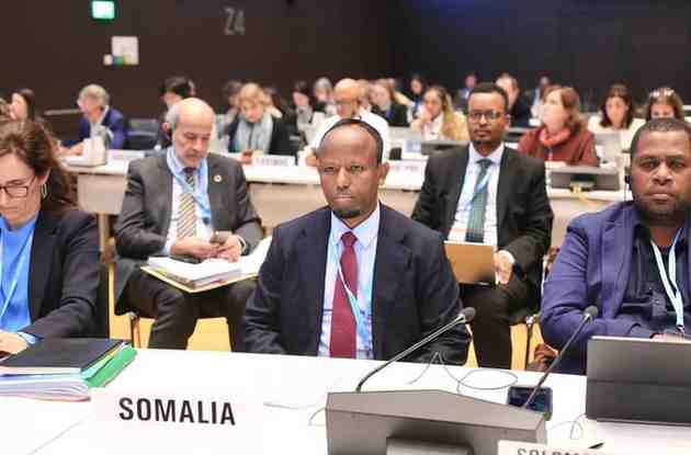 Somalia’s Health Minister Joins WHO Executive Board Talks in Geneva