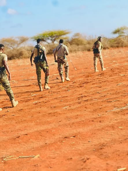 Peace returns to Aboorey as Somali forces dismantle militant network.