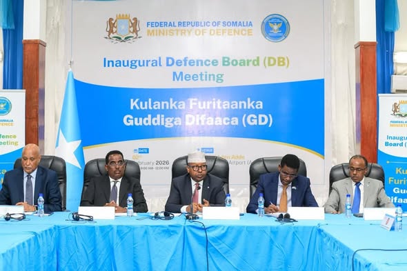 Somalia launches National Defence Council to boost security coordination