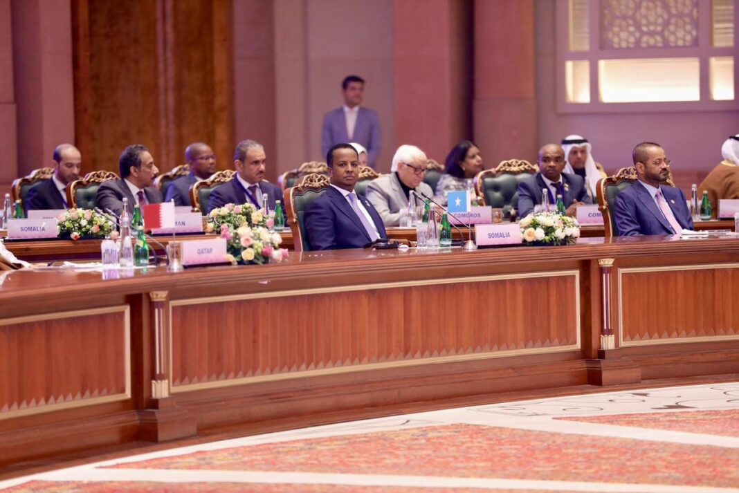Somalia participates in India-Arab Foreign Ministers meeting to boost trade and investment