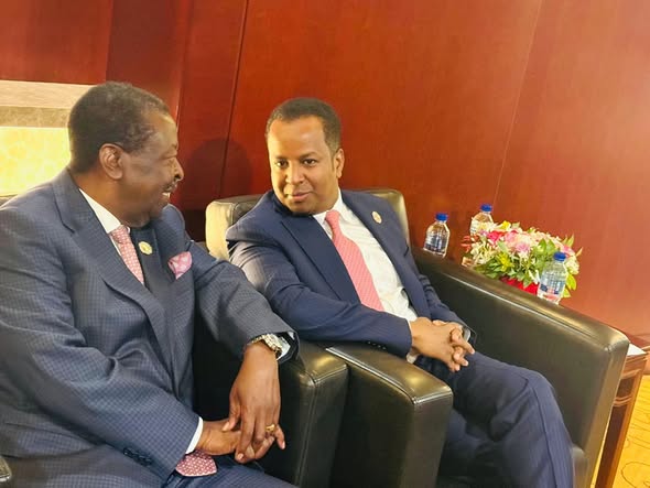 Somalia and Kenya advance shared priorities at African Union meetings