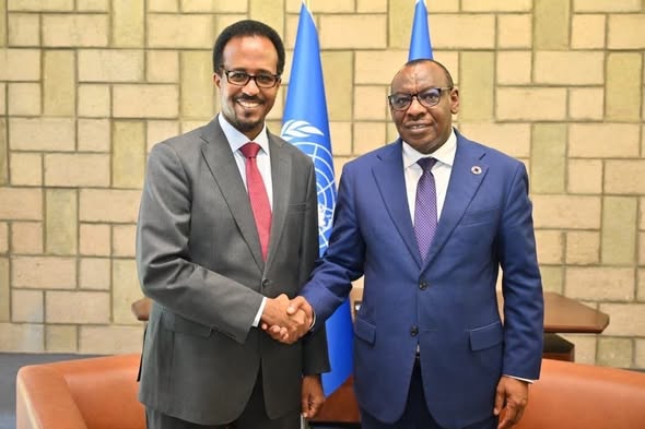 Somalia’s Minister of commerce meets UN Special Envoy to boost economic cooperation.